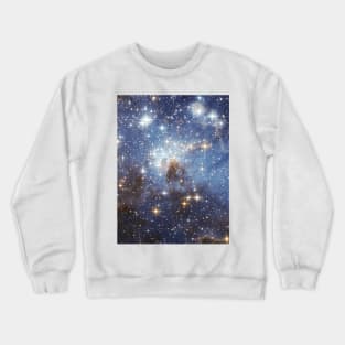 COSMOS Crewneck Sweatshirt